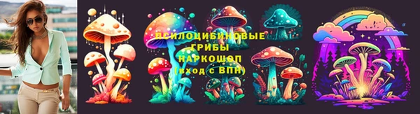 spice Алексеевка