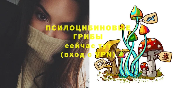 spice Алексеевка