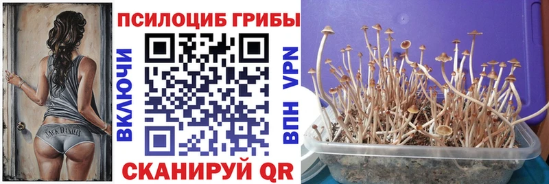 Галлюциногенные грибы мицелий  Коломна 